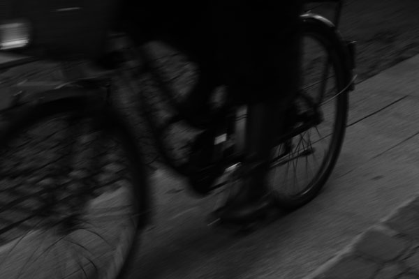 Fichier:Photo 15.jpg