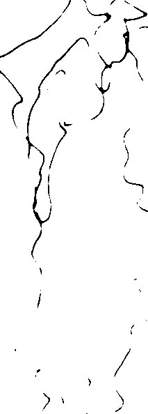 Fichier:Fond blanc3.jpg