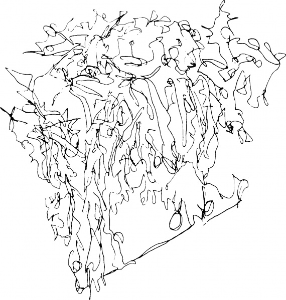 Fichier:Fond blanc18.jpg