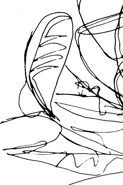 Fichier:Fond blanc10.jpg