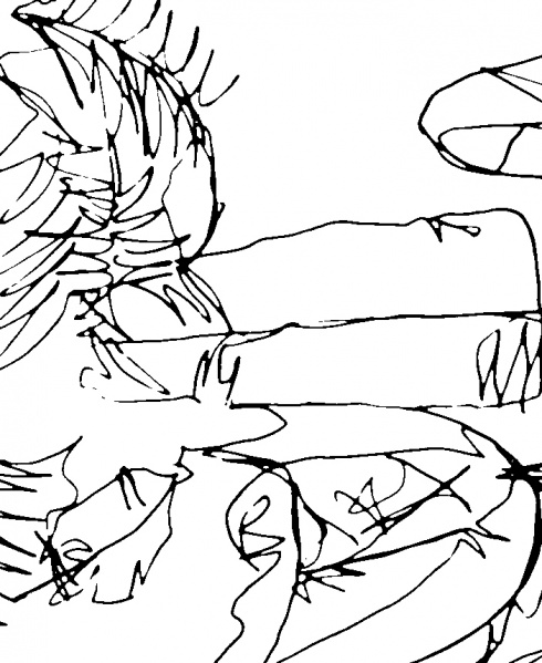 Fichier:Fond blanc1.jpg