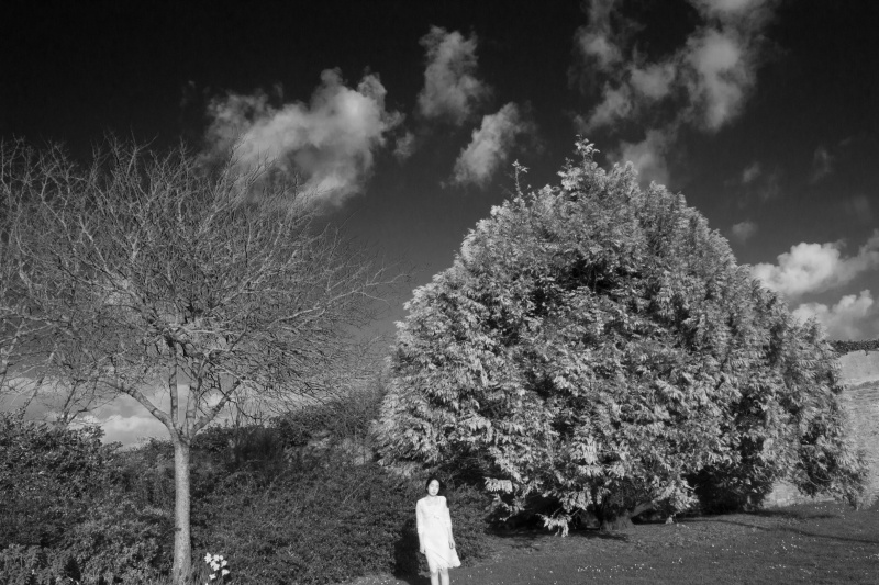 Fichier:MG 2281 250 25x16.jpg